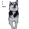 я
B
Шоке