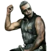 Lindemann 11