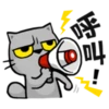 Cat claw scratching 7