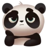 Panda! 11