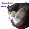 Спокойной
Ночи