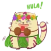 Meow Meow 11