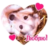Dogs 18