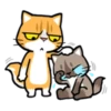 Cat claw scratching 11