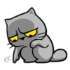 Cat claw scratching 12