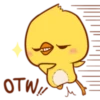 Cute Little Chicken 11