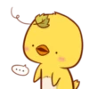 Cute Little Chicken 12