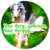 Dogs 20