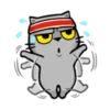 Cat claw scratching 14
