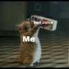 `meow 17