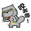 Cat claw scratching 15