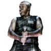 Lindemann 17