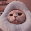 MEOW MEOW 17