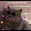 `meow 20