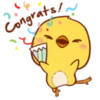 Cute Little Chicken 14