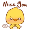 Cute Little Chicken 15