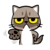 Cat claw scratching 20