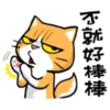 Cat claw scratching 22