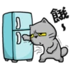 Cat claw scratching 23