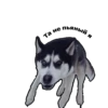 Та не
пьяный
я