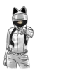 Motocat 22