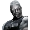 Lindemann 26