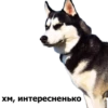 хм, интересненько