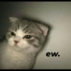 `meow 30