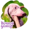 Dogs 30