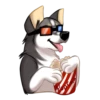 Huscai the Husky 5