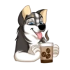 Huscai the Husky 6
