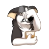 Huscai the Husky 7