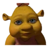 SHREK 5