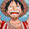Monkey D Luffy 8