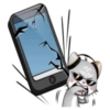 Mp3 cats 14