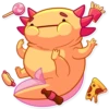 Mexican axolotl 6