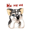 Huscai the Husky 8