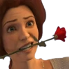 SHREK 10