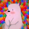 O2–ICE BEAR 14
