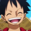 Monkey D Luffy 9