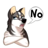 Huscai the Husky 12