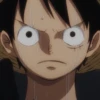 Monkey D Luffy 12