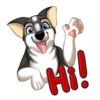 Huscai the Husky 17