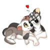 Huscai the Husky 19