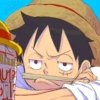 Monkey D Luffy 15
