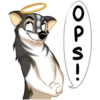 Huscai the Husky 21