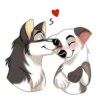 Huscai the Husky 22