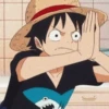 Monkey D Luffy 16