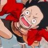 Monkey D Luffy 17