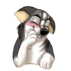 Huscai the Husky 24